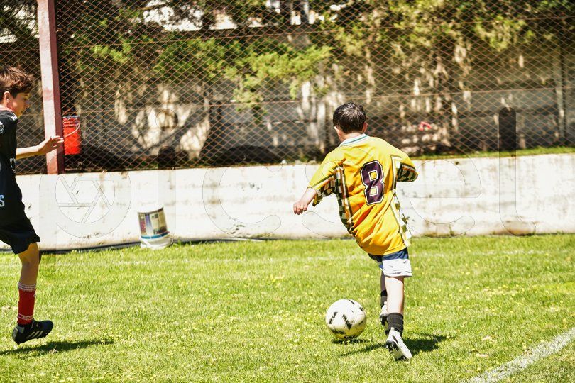 Photo of wjdlt17fchlicu44caz4rjyf