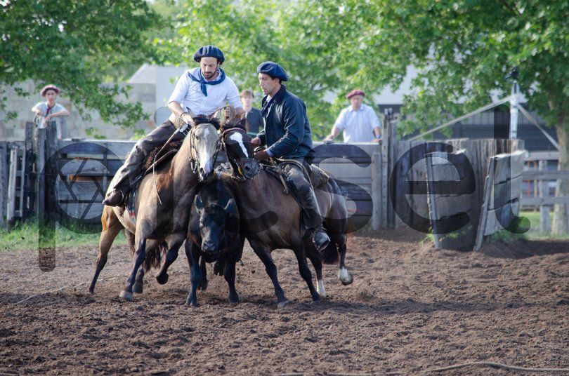 Photo of yzbmhfmr5otifxi8567xzlfl