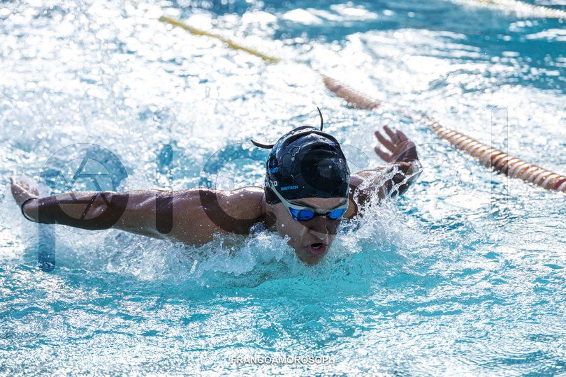 Photo of nyniit5qy7zo8wp87ckzz8jd