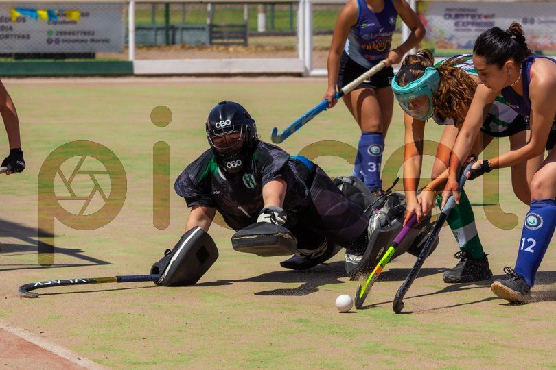 Photo of yroy1foddv7zz8if417bxuqy