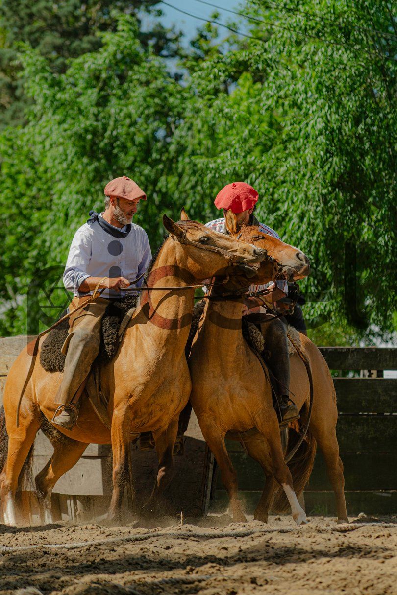 Photo of ldvzobufhv9ogdu1omfp3yjy