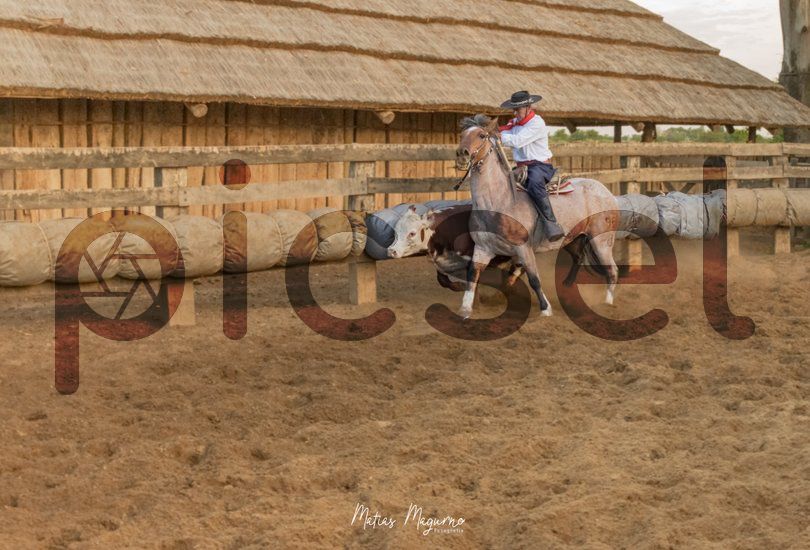 Photo of hti763kqhd7412l08qhva8wr