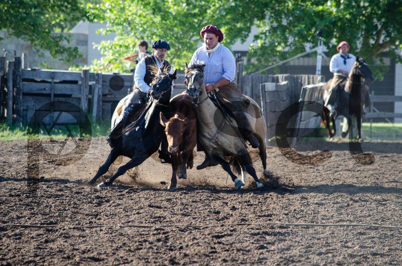 Photo of g60rqodkj6fh4xm5tddhrg07