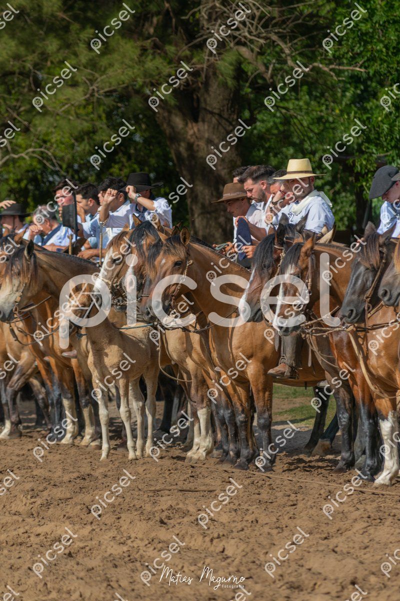 Photo of pmsnpjy4w82ls4aob0rrkq3q