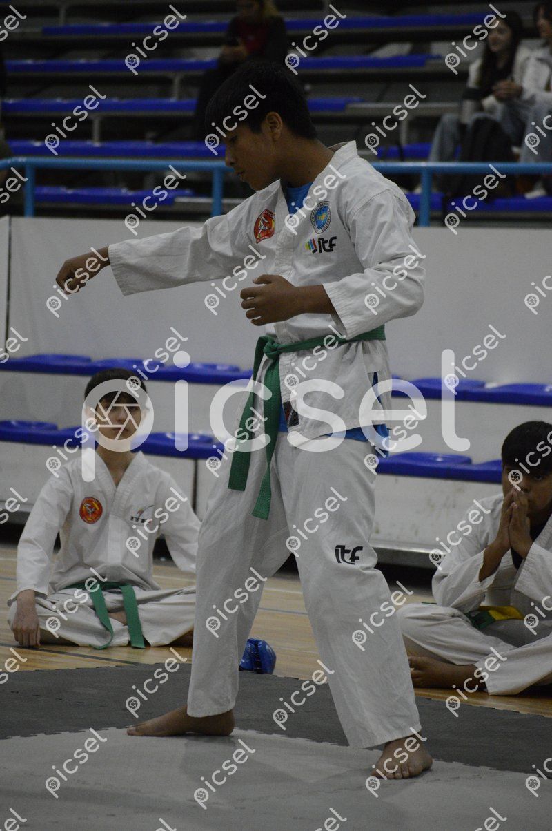 Photo of txn1124na166i53wdh82dcal