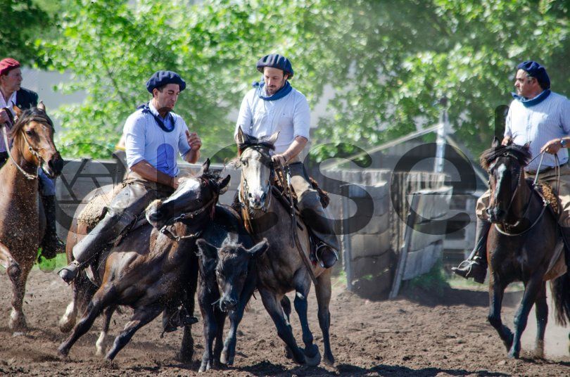 Photo of zykw9i6w7s1t5x9ijmzuqnsf