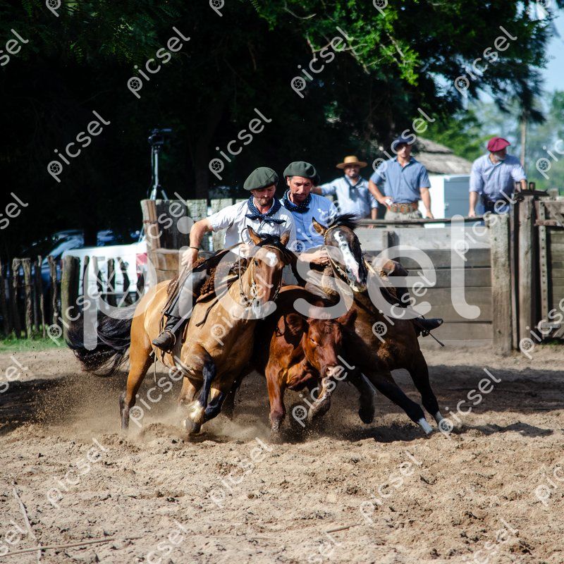 Photo of clo12tmtn4xhoa0sbd8r3haz