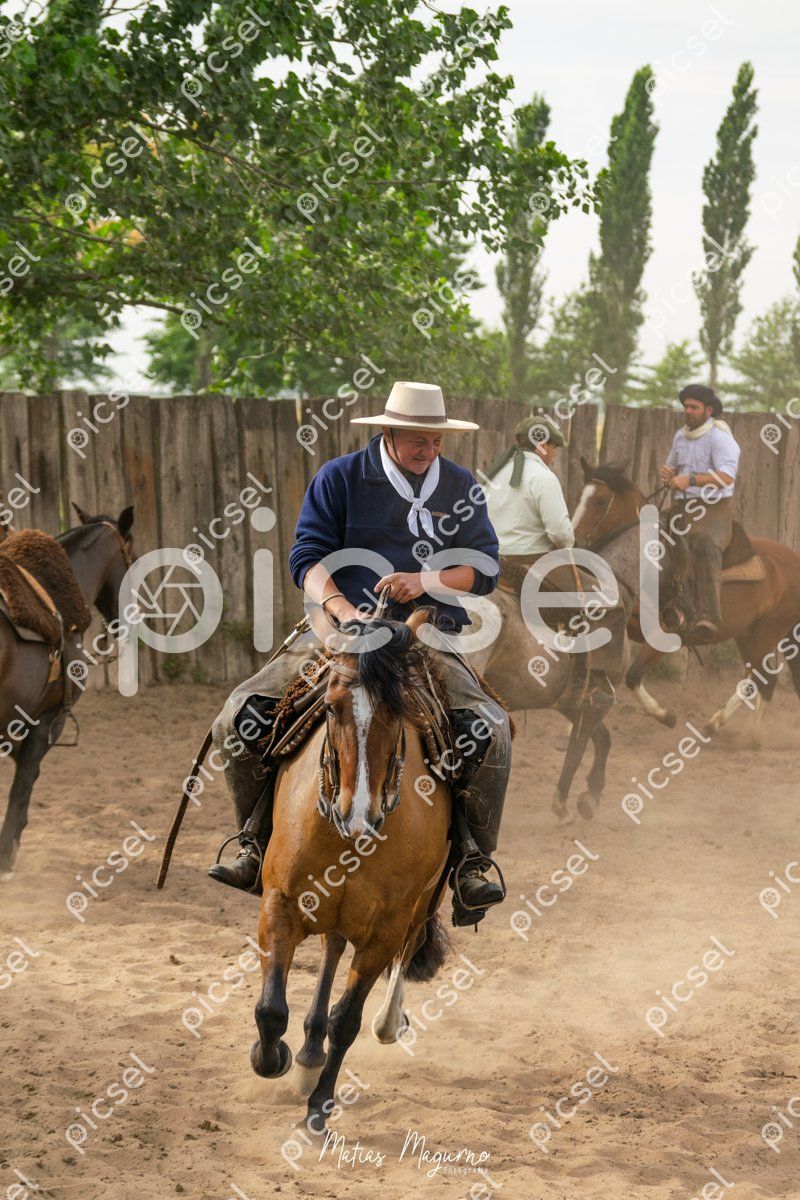 Photo of gniey5fd0jp708m05i4xmdp3