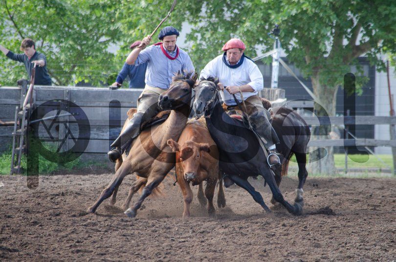 Photo of io6lix81p87jor47qdiijp3m