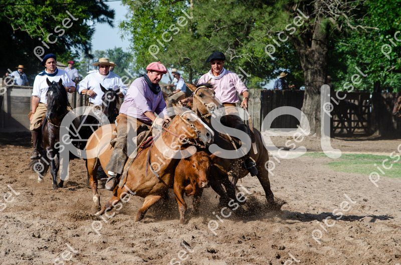 Photo of a54nylhysiptwxbnl1c0wrbt