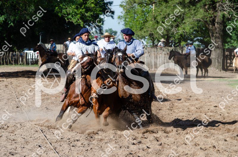 Photo of dc2dusgsig220mapeuzvcpdy