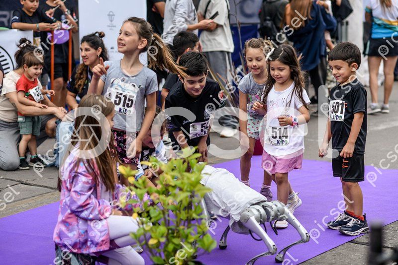 Photo of t0qp0q0ny0kf3l61zh4k20ji