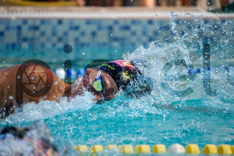 Photo of zlrugkl9i1g0akvm2komm41y