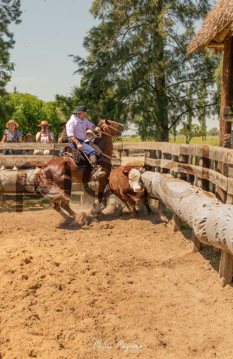 Photo of vkjb5wbv5wxh33qtndavemnn