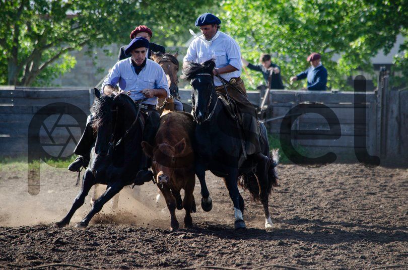 Photo of rrn4zbxucezzaz7b907iyb94