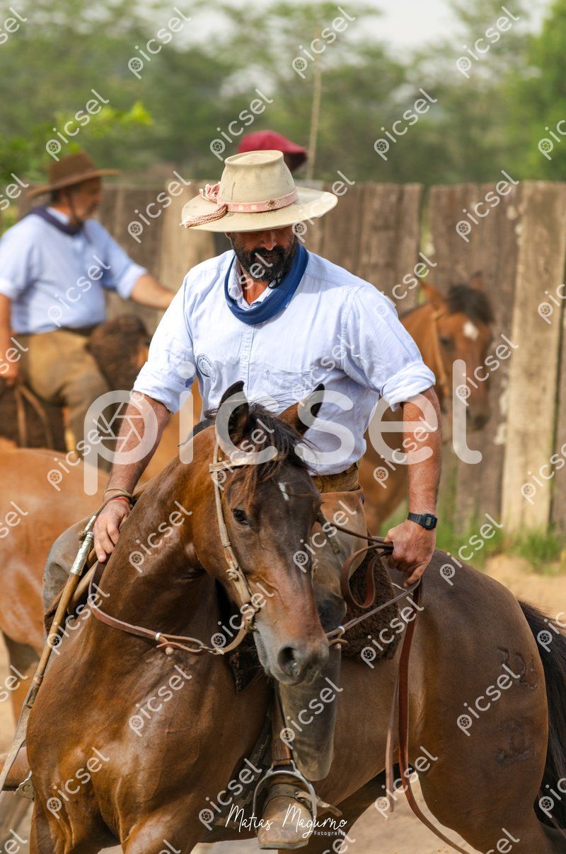 Photo of rdz5umeb2pqej6np1nf3vdhq