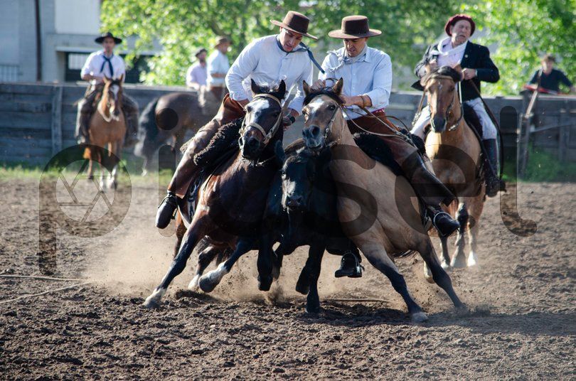 Photo of r5a4ep5xm4mctci6za55m4sh