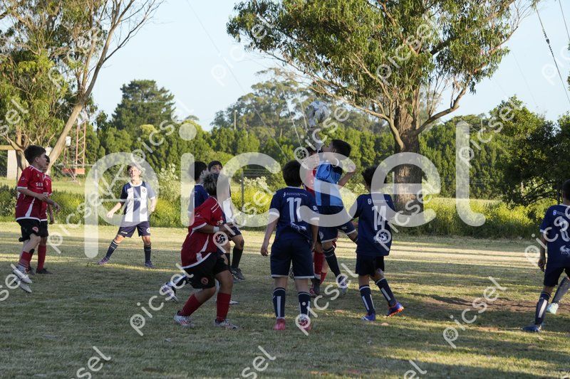 Photo of xntcs9fotnbw2r7ied8uc6pb