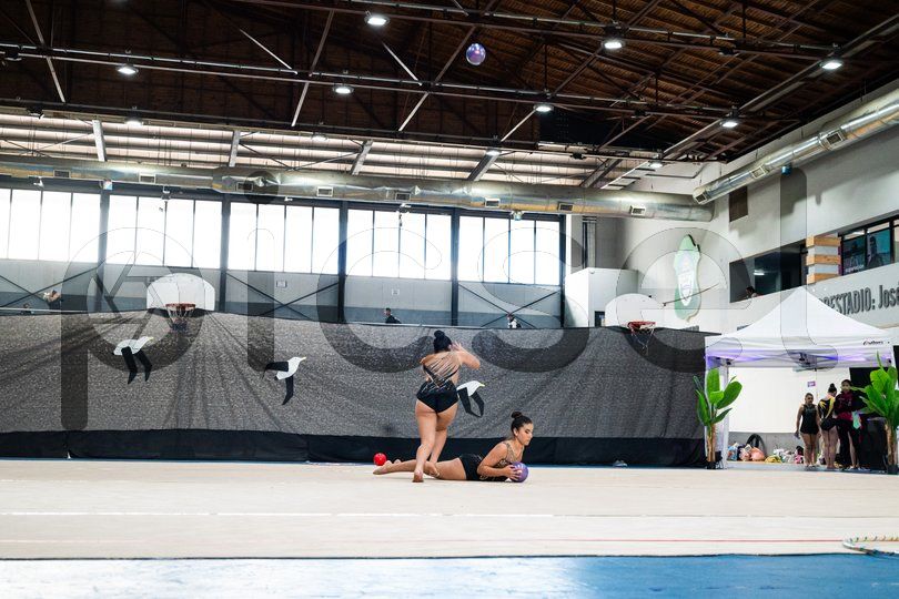 Photo of ra9gk31jkell6g1tv1804jhz