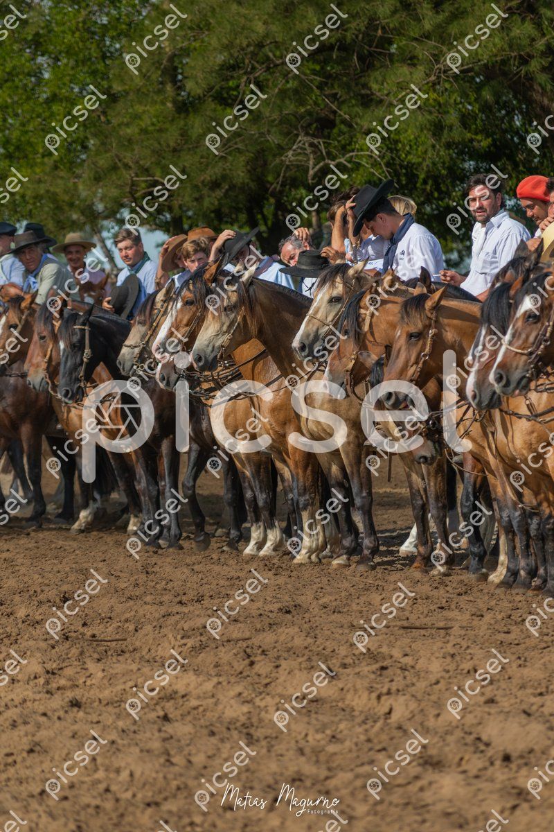 Photo of v8tik90quq1r4x6pgeath8ay