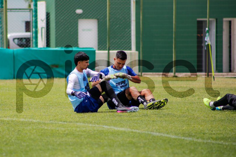 Photo of g08c0xgyc7xbl6hb2wlqud1s