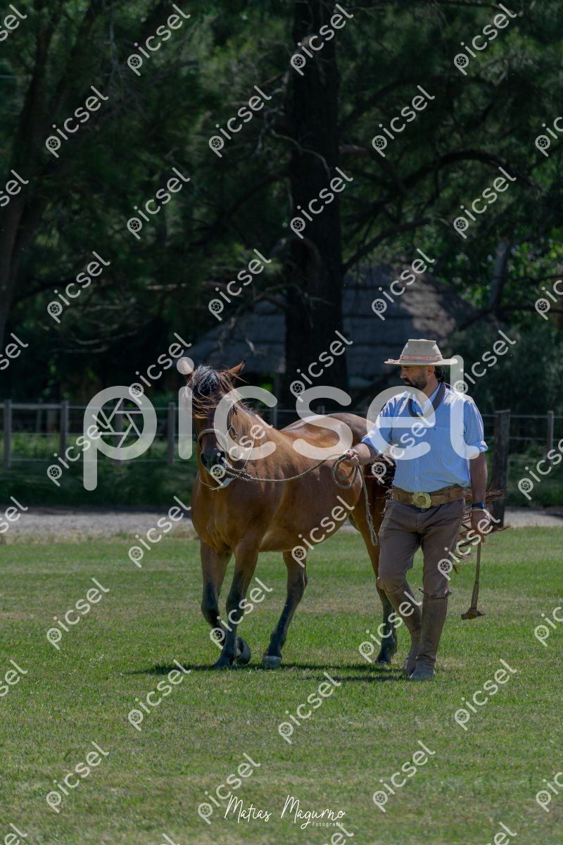 Photo of gcgrw4ejq1kkey5j0fwgd92f