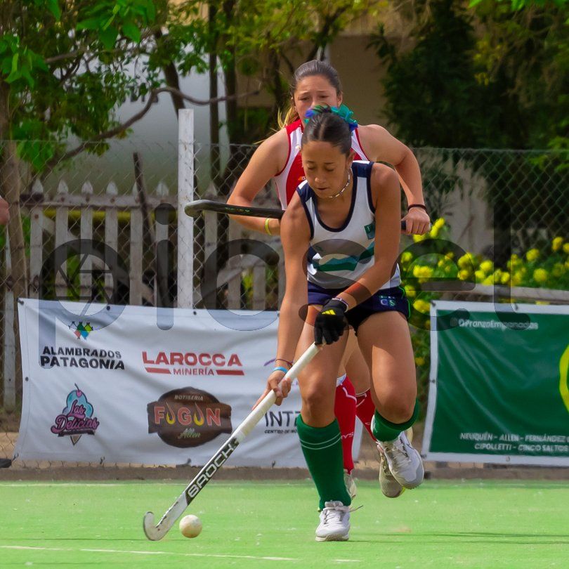 Photo of ige61v56od0pzw9sw3taf2lu