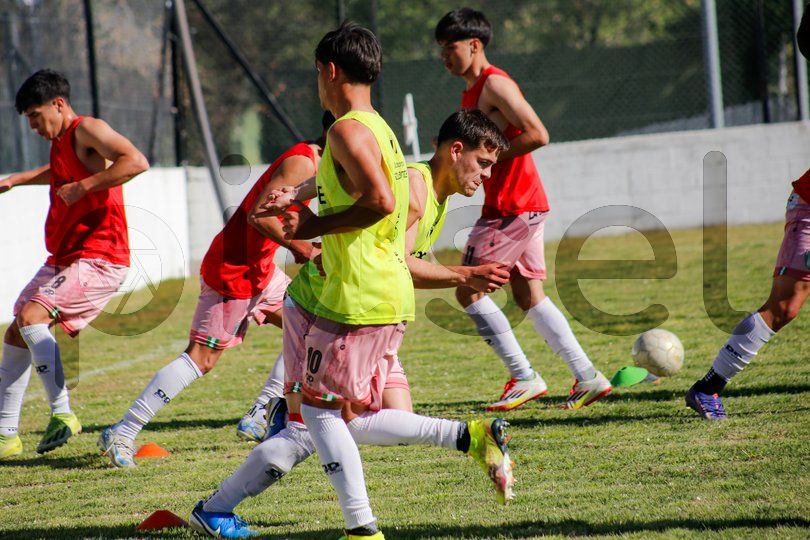 Photo of zoj4a3q4m0sdy46bnbl9b9yi