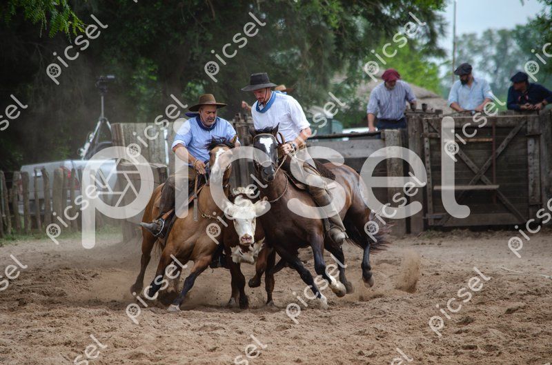 Photo of w07dnvy21rzq0gf3rtxjh140