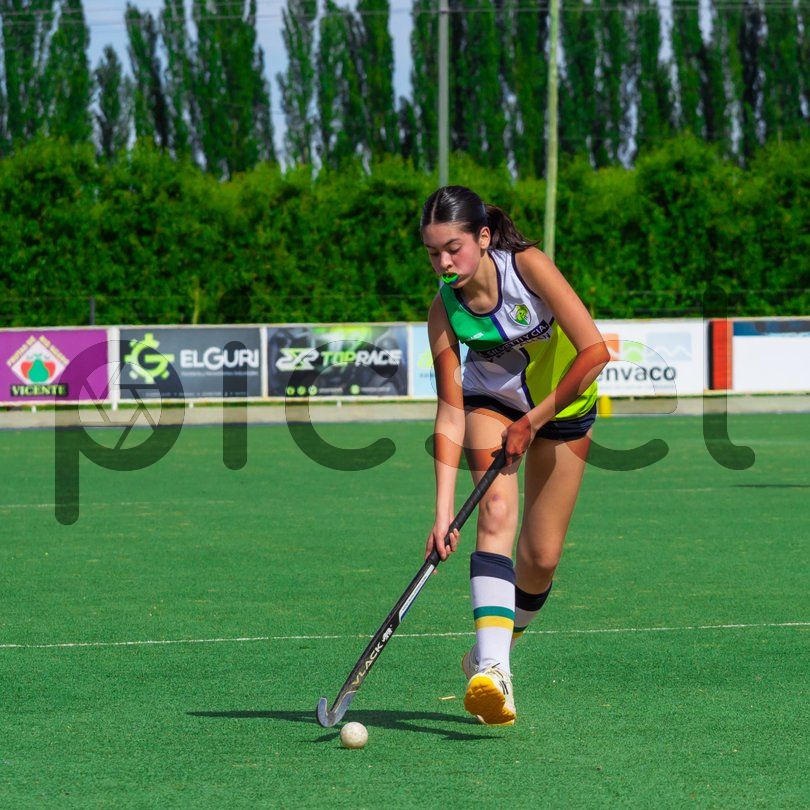 Photo of nzzc52l39stzh9sbpbirtw4y