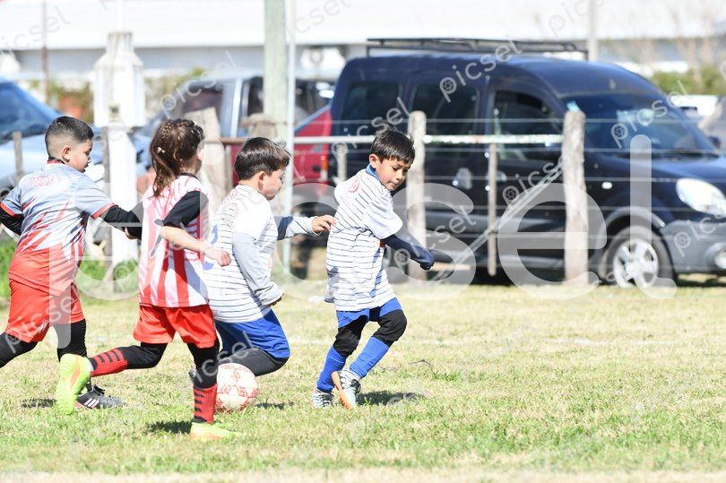 Photo of k179dm8q0ib6nxi6i1j0237d