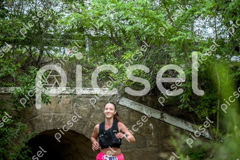 Photo of jz1g6km1j6snzelf7xj41xhw