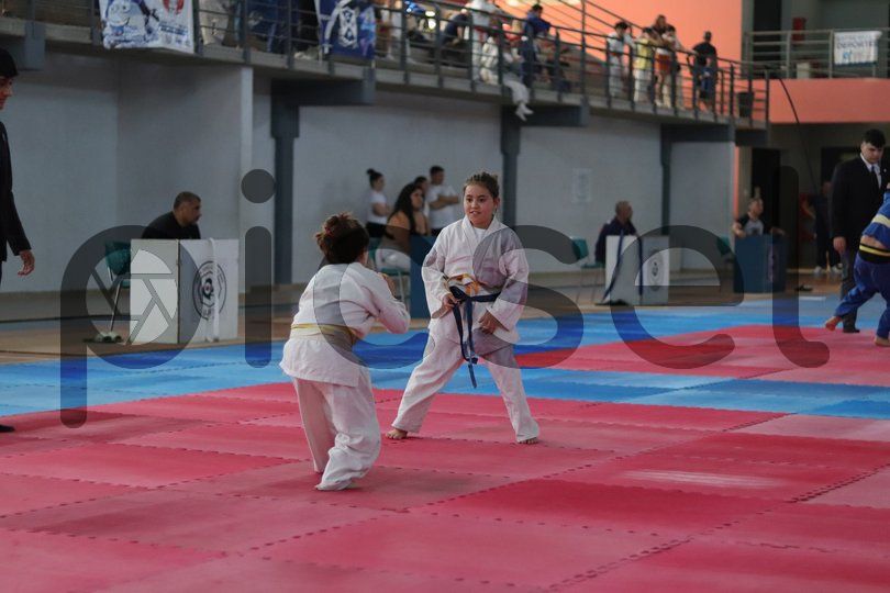 Photo of izw4z0gwxf08qkv45x4hxfea