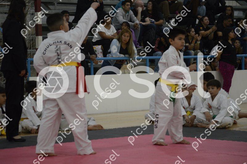 Photo of p7ob9a8eiru1llqm3x4w3glc