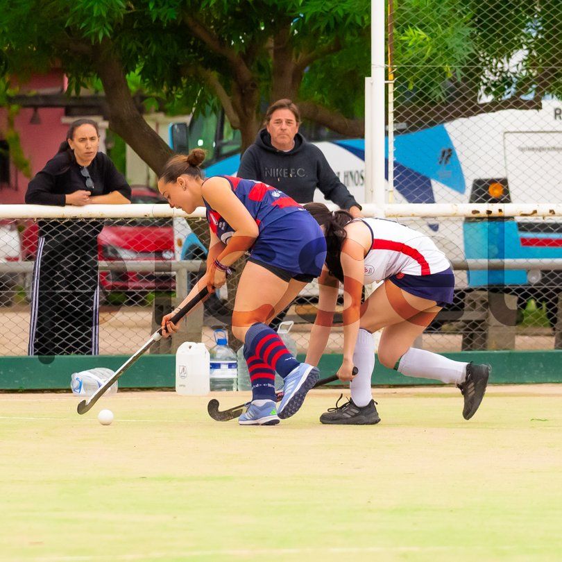 Photo of volot1092uehkxuslqbbff5r