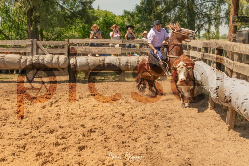 Photo of swra5mlm0mm728ddj118rofl