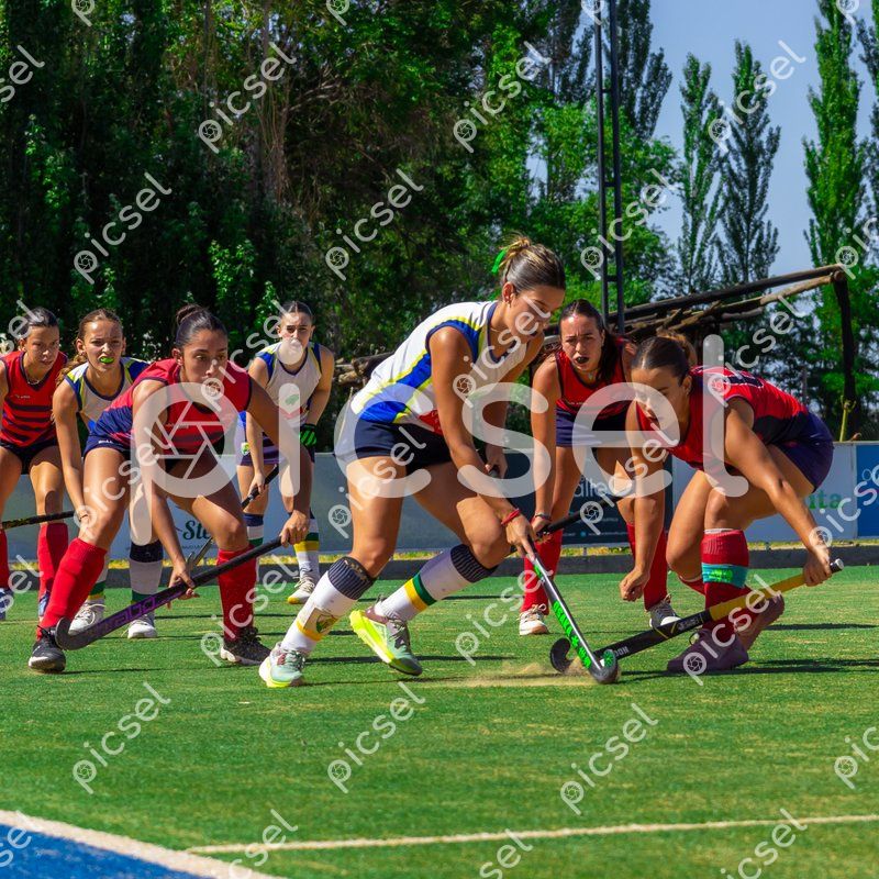 Photo of t0ym22oibcs9msnk23tdl2q5