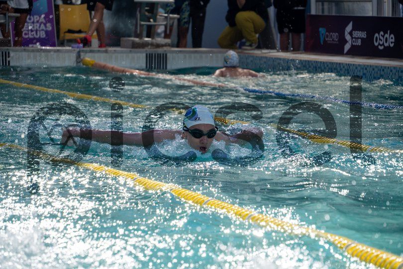 Photo of xgu7yhqnpqn52b77uzegry3g