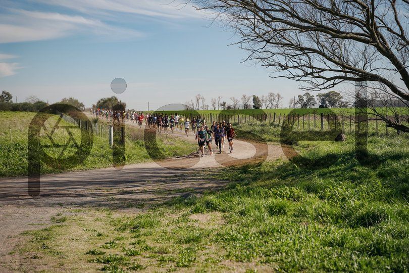 Photo of q7betw7mm5xfov195w3wlmay