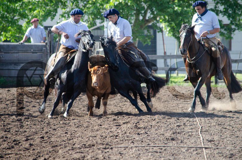 Photo of bsou8klf2xaaxans8zdhv5vk