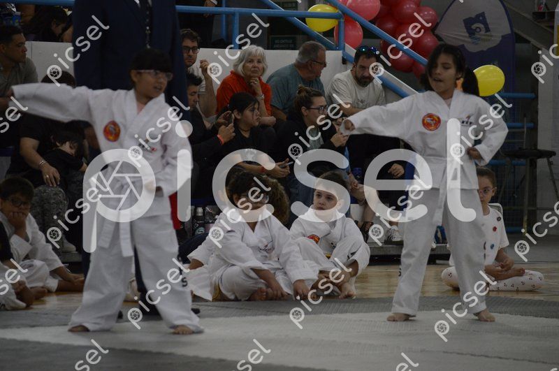 Photo of n0ddemnqs2o1pqnoccnu4v4p