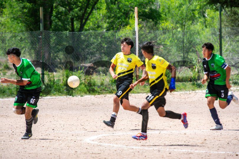 Photo of mmzb35xokez447ptjnwz9pxo