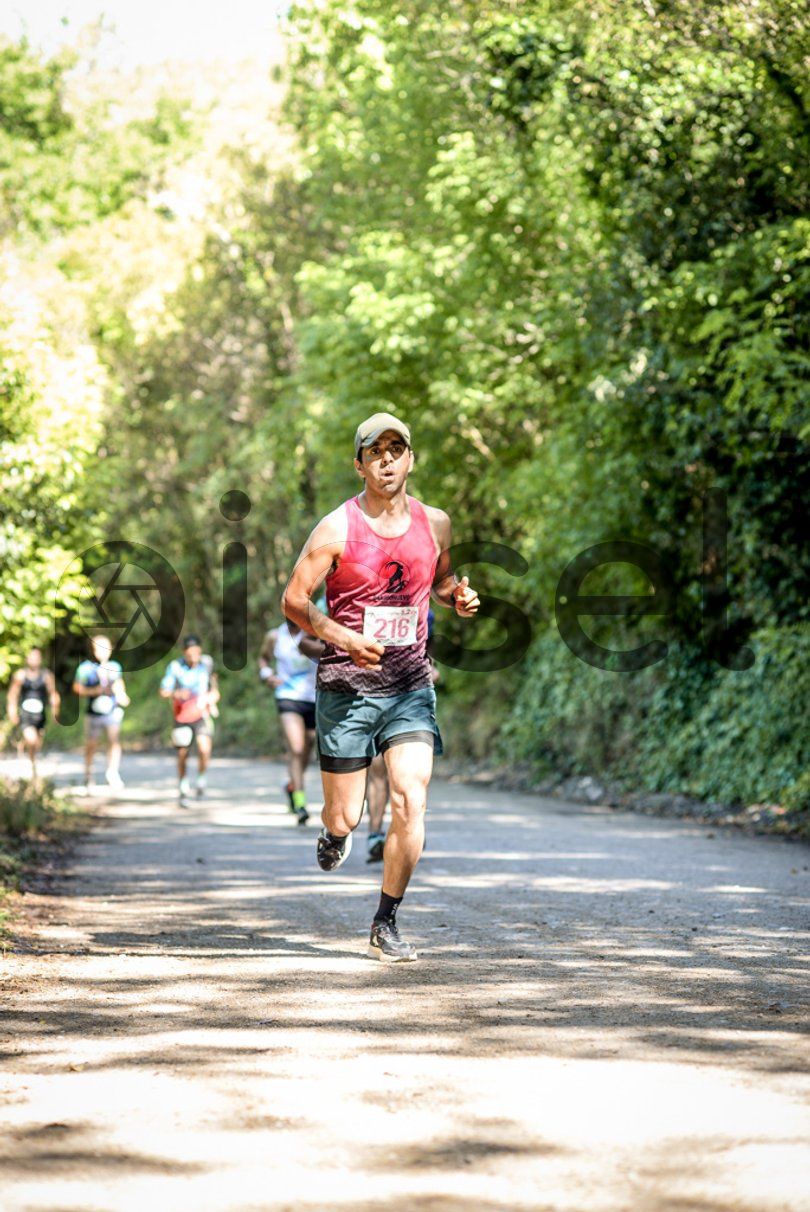 Photo of st5bt9o7virnqwps9sg5nmd8