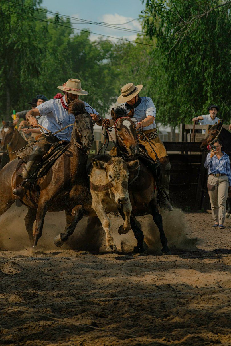 Photo of lscol5pej1u4uy1jj4za7sio