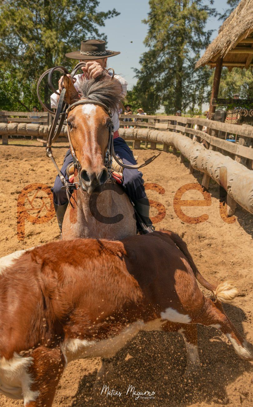 Photo of w3w17qokhu92q0p80l834odz