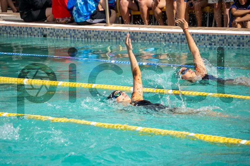 Photo of o4yoi0t2ndt8jkw8ivjtrk9r