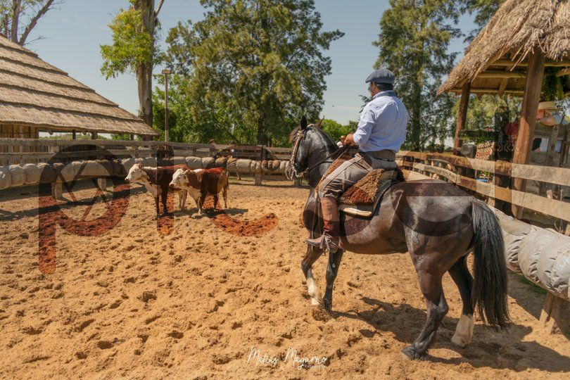 Photo of p1gqj06sddogxfz4ntxk44jz