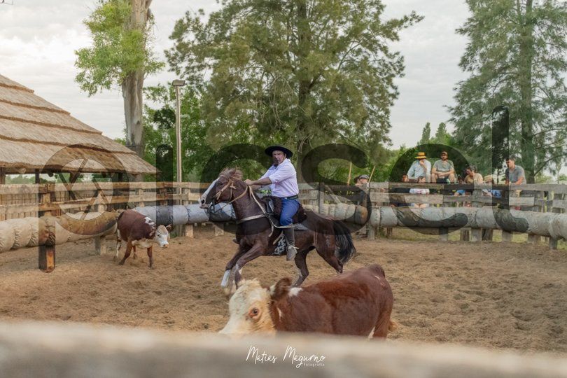 Photo of zuhtnpx33t2p4ftz7dh1n6ok