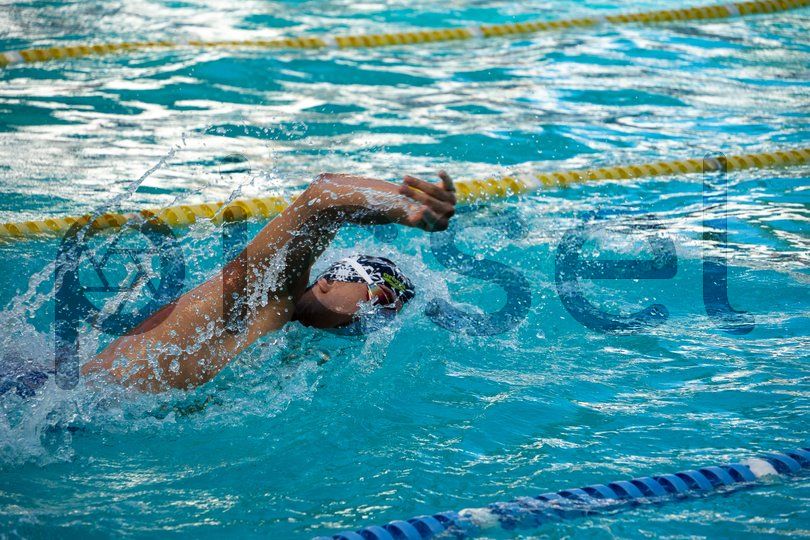 Photo of zg7xcavrk1dh8nuqadcutk5n