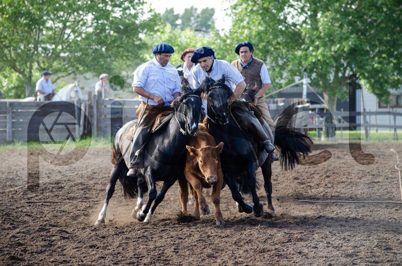 Photo of on0sbtg1jrdmyq97tpq42kcs